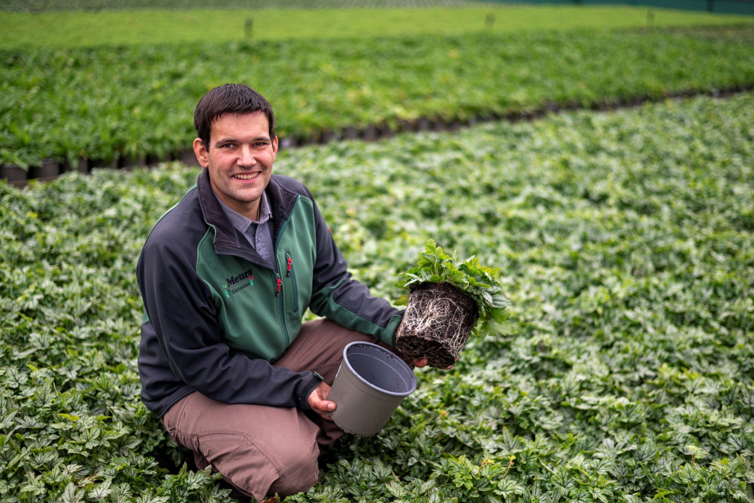 Gewächshaus mit Jungpflanzen